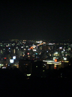 松山城からの夜景