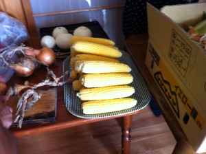 IMG_1930