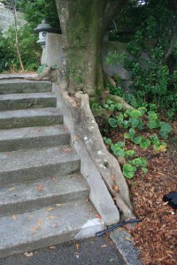 01 若宮神社の階段