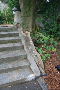 01 若宮神社の階段