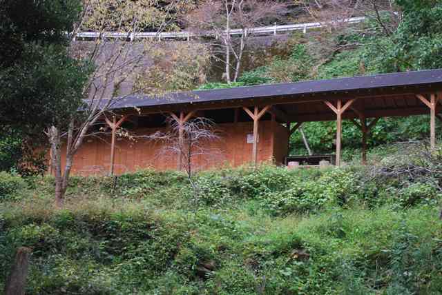 霧の森川遊び更衣室