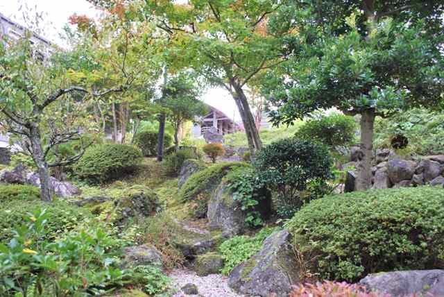 霧の森茶室からの景色