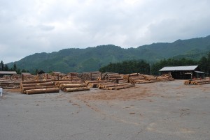 木こり市場