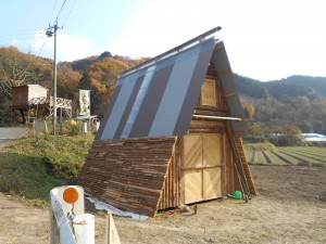 DSCN2226