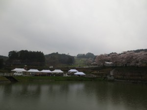 IMG_3315