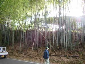 DSCN0995