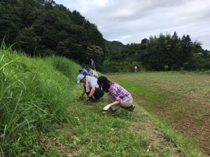 コピー ～ 作業風景④